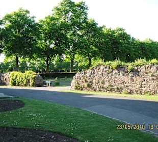 Abbey Park (Park (rezerwat, zoo, safari, itd.))