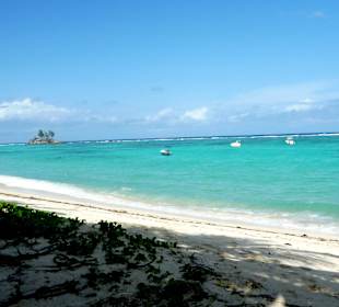 Landschaft Anse Royale