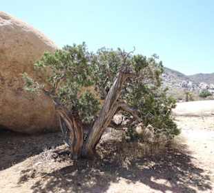 Interessante Wüstenlandschaft