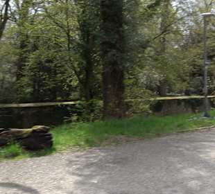 Schlossgarten Karlsruhe