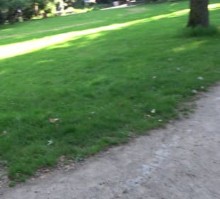 Stadtgarten Heidelberg