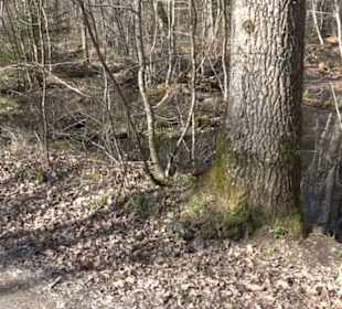 Historischer Rundwanderweg Aichtal