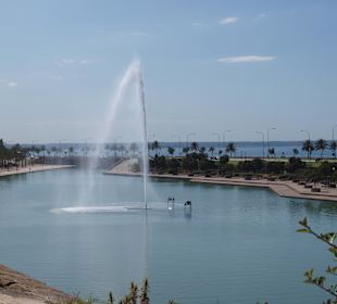 Palma