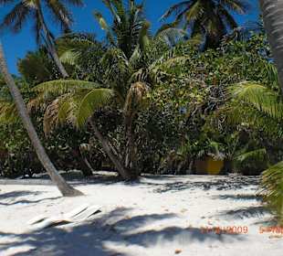 Insel Saona