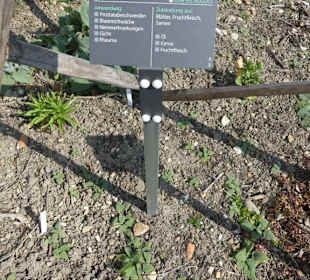 Erläuterungen der Kräuter