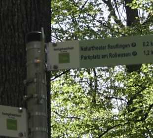 Wanderweg Hochgehwachsen