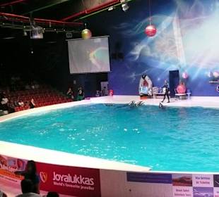 Dolphinarium
