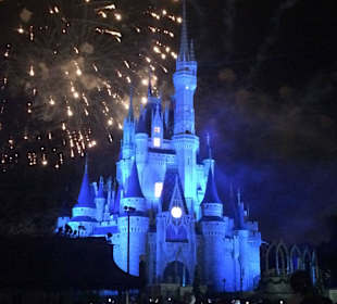 Disney , Orlando in Night