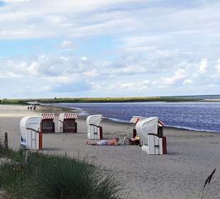 Grüner Brink in Fehmarn