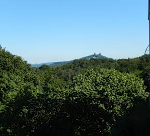 Blick vom Schloss auf die Felsformation Die Alte m