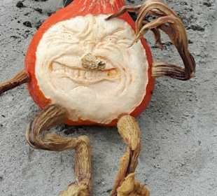 Kürbisausstellung Ludwigsburg