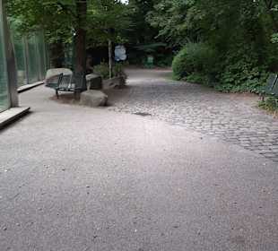 Tierpark Hellabrunn