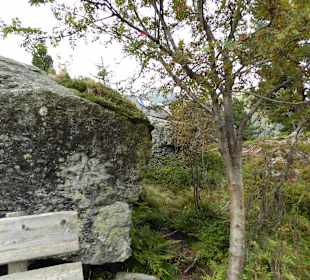 Wanderung zum Unteren Wildalmsee