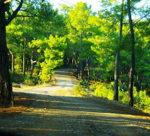 Sulahikulle - Vergessene Stadt