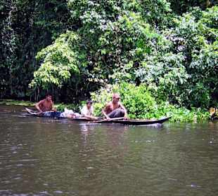 Die Warao, in ihrem Element.