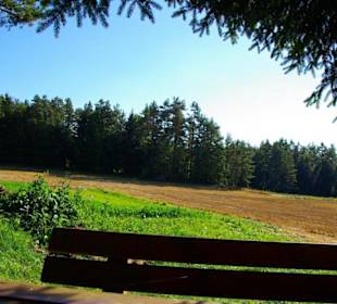 Wanderung zum Signalstein Fränk.Schweiz
