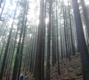 Wandern St. Kathrein am Offenegg