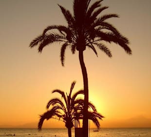 Die Sonne geht unter