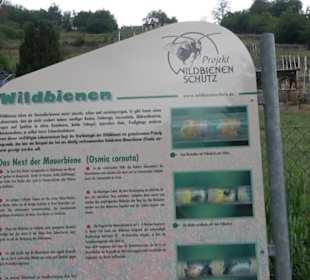 Naturinfopfad Weggental