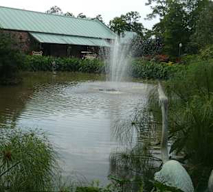 Gartenteich