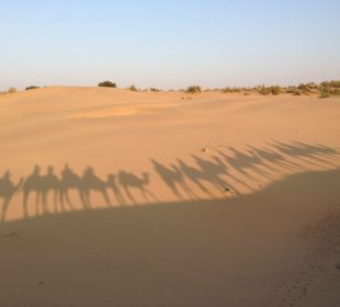 Wüstentour Jaisalmer