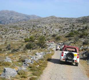 Jeep-Safari