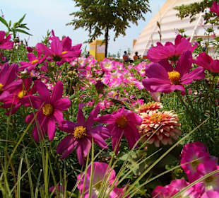 Blumen