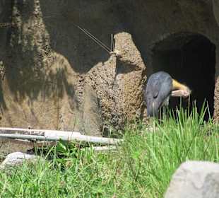 В зоопарке Бали