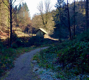 Wandern Bannwald Baiersbronn	