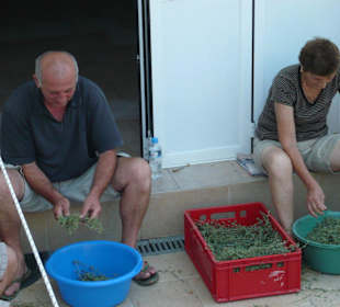 Gewürze und Kräuter aus eigenem Familien-Garten.