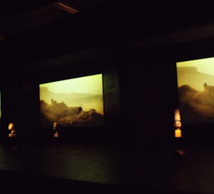 Tutanchamun - Sein Grab und die Schätze -