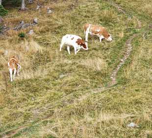 Wandern Turracher Höhe