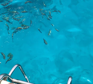 Schnorcheln Hurghada