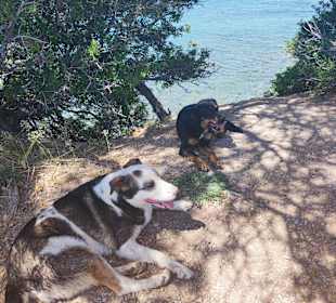 Strand Didim