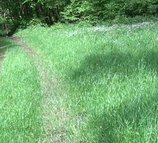 Wandertour Feuchtgebiet Schönbuch