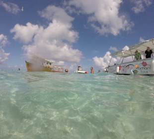  Im Flachwasser der Lagune