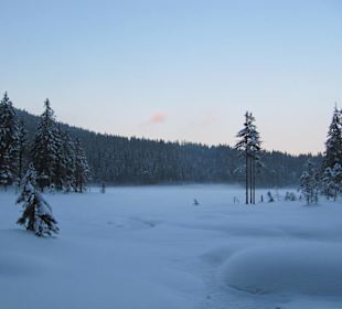 Arbersee im Winter