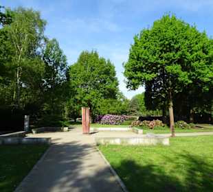 Hauptblüte im Rhododendronpark Bremen