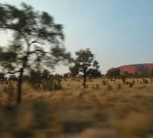 Ayers Rock / Uluru