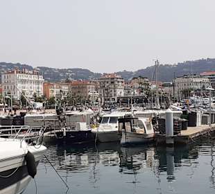 Yachthafen Cannes