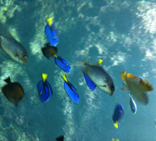 Ausflugstipp Klimahaus in Bremerhaven