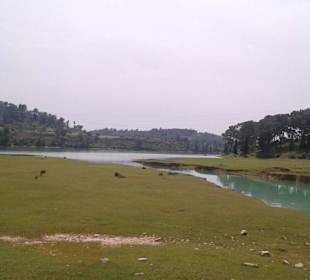 Wenig Wasser zur Zeit