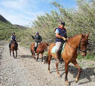 Reitstall Canarias Ecuestre