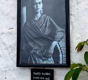 San Blas-The Artists District