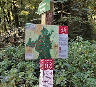 Wegweiser im Neuenburger Urwald