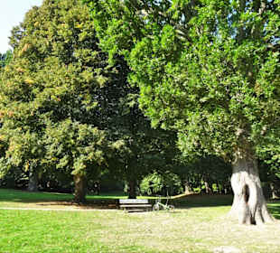 Rundgang durch den Park Forstbaumschule