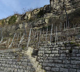 Felsengärten