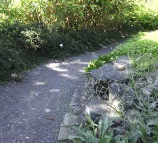 Botanischer Garten