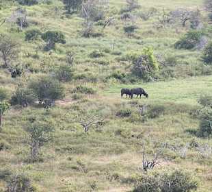 Nationalpark Kenia