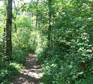 Wanderweg Sieben-Täler-Runde 